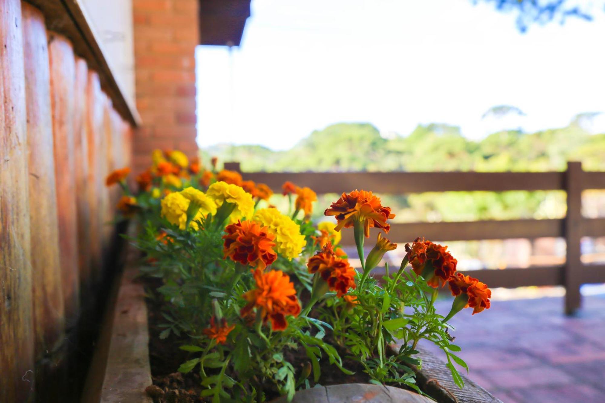 Villa Iturri Campos do Jordão エクステリア 写真